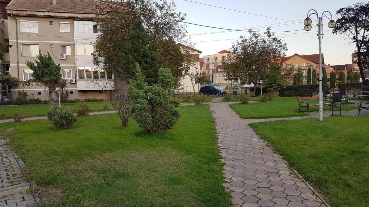 Apartament Ema Băile Felix Buitenkant foto